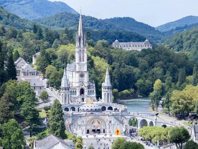 Le Nid Du Sanctuaire Apartment Lourdes